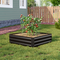 Close-up of plants growing in the Small Black Galvanized Steel Square Raised Garden Bed - Ideal for vegetables and flowers