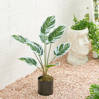 Simulated Plants 9 Heads White Oil Painting Arrowroot Potted Plants