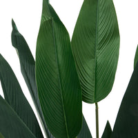 160/180CM Height Artificial Bird of Paradise Plant Fake Tropical Tree with Pot