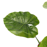 160CM Height Artificial Tropical Plant with Plastic Flowerpot