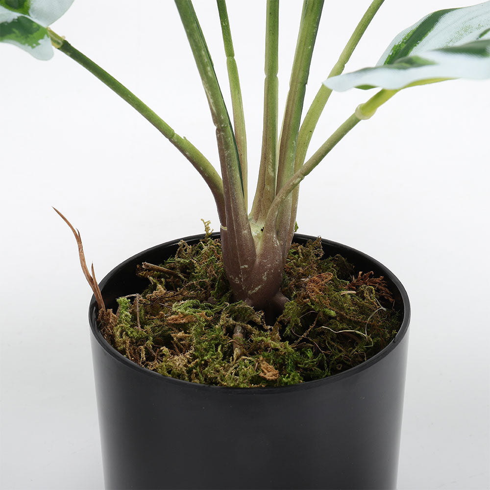 Simulated Plants 9 Heads White Oil Painting Arrowroot Potted Plants