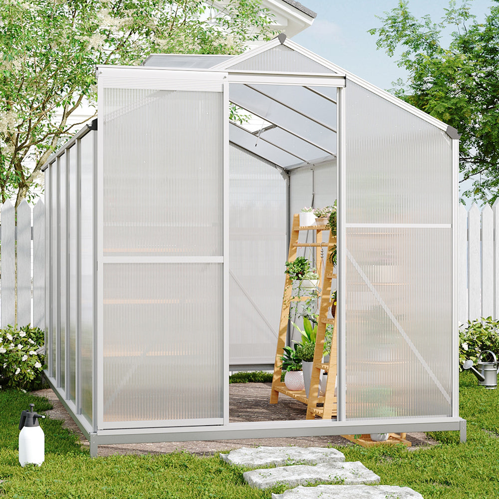 10x6ft Aluminium Greenhouse Placed Beside Wall – Great for Limited-Space Outdoor Planting