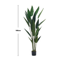 160/180CM Height Artificial Bird of Paradise Plant Fake Tropical Tree with Pot