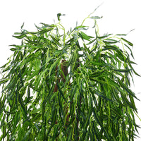 180cm Height Green Artificial Willow Tree Indoor Tall Potted Faux Realistic Plant