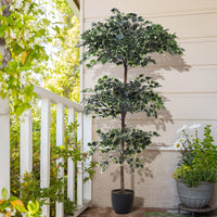 185cm Height Artificial Zamioculcas Plant Indoor Faux Tall House Plant Realistic Decor