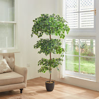 185cm Height Artificial Zamioculcas Plant Indoor Faux Tall House Plant Realistic Decor