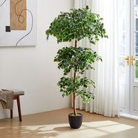 185cm Height Artificial Zamioculcas Plant Indoor Faux Tall House Plant Realistic Decor