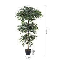 185cm Height Artificial Zamioculcas Plant Indoor Faux Tall House Plant Realistic Decor