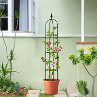 63 inch 2Pcs Black Garden Obelisk Trellis for Climbing Plants