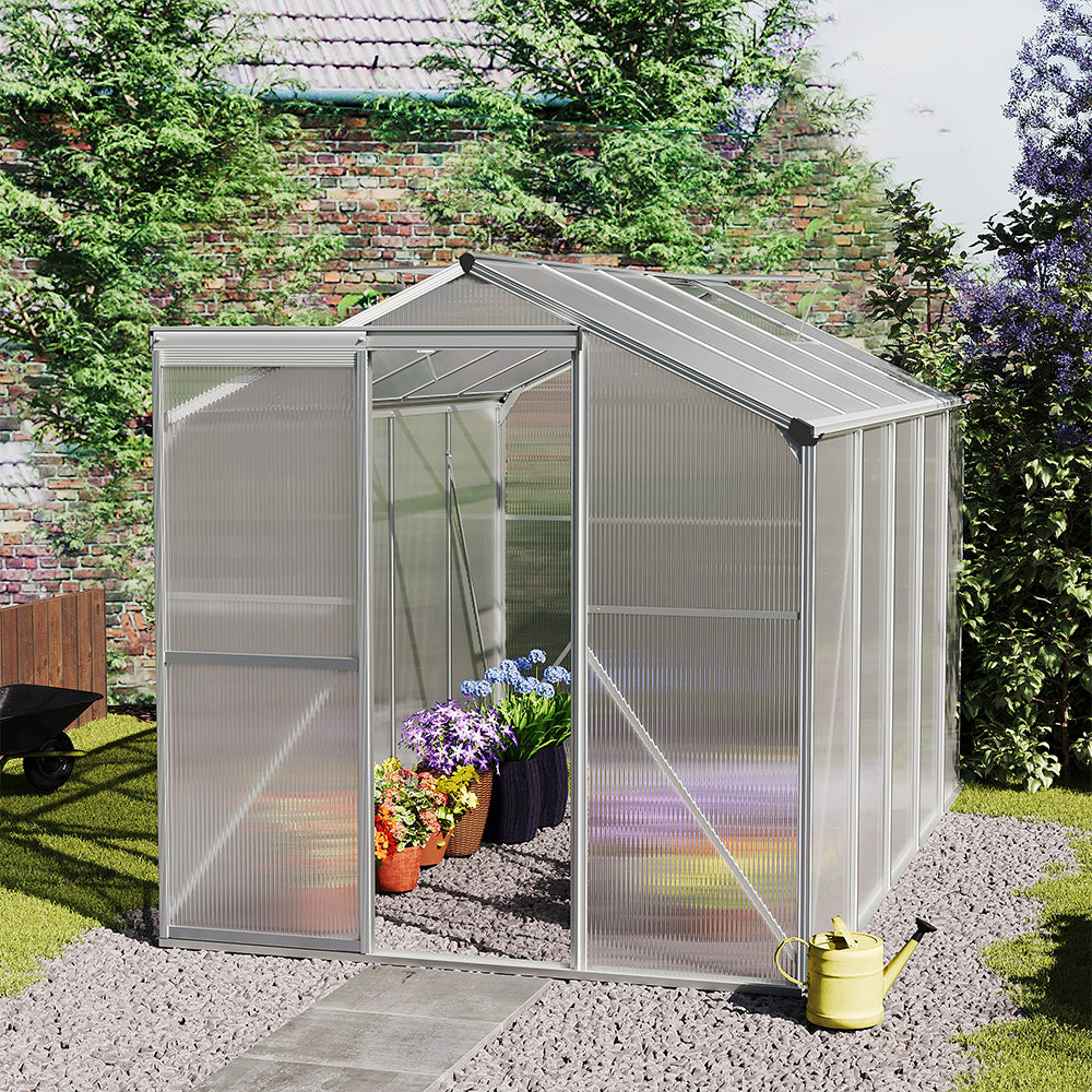 Large 10x6ft Garden Greenhouse Installed on Patio – Ideal for Growing Vegetables and Plants Year-Round