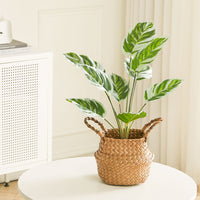 Simulated Plants 9 Heads White Oil Painting Arrowroot Potted Plants